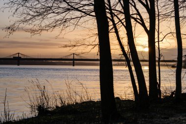 Önünde siyah ağaç gövdesi siluetleri olan gün batımı. sonbahar