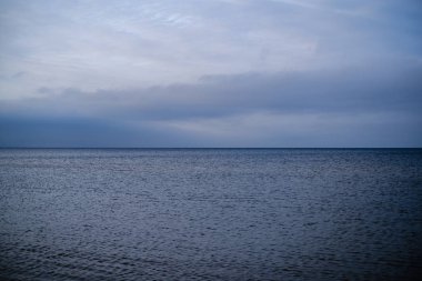 Sonbaharda boş deniz sahilleri, çalılar ve kuru otlar. su perspektifi