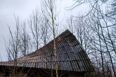 Sonbaharda kırık mobilyaları ve boş pencereleri olan terk edilmiş eski bir ev.