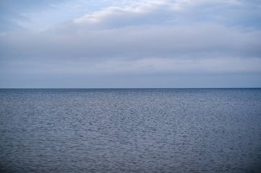 Sonbaharda boş deniz sahilleri, çalılar ve kuru otlar. su perspektifi
