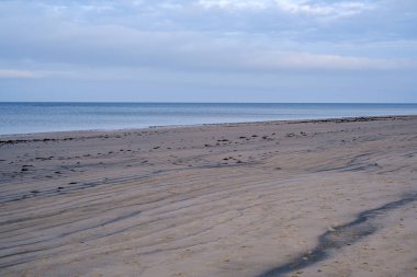Sonbaharda boş deniz sahilleri, çalılar ve kuru otlar. su perspektifi