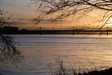 Önünde siyah ağaç gövdesi siluetleri olan gün batımı. sonbahar