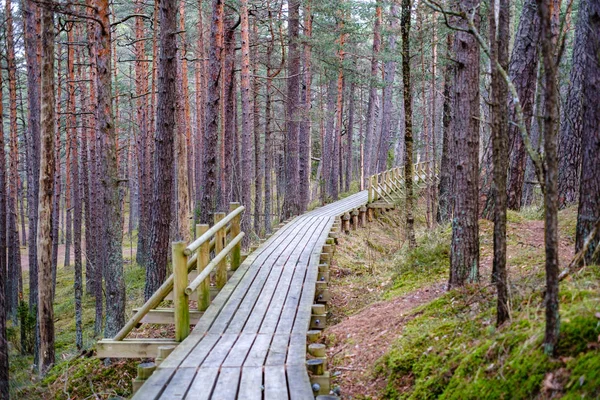 Houten Promenade Het Bos Late Herfst Regen — Stockfoto