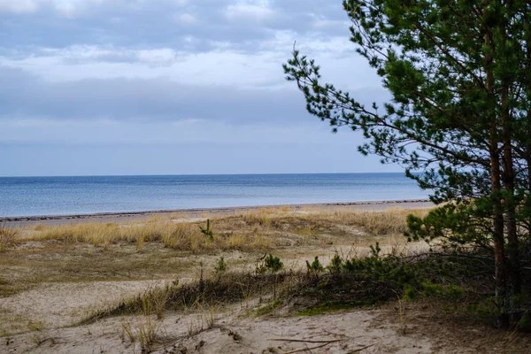 Pusta Plaża Morska Jesienią Krzakami Suchą Trawą Woda Perspektywie — Zdjęcie stockowe