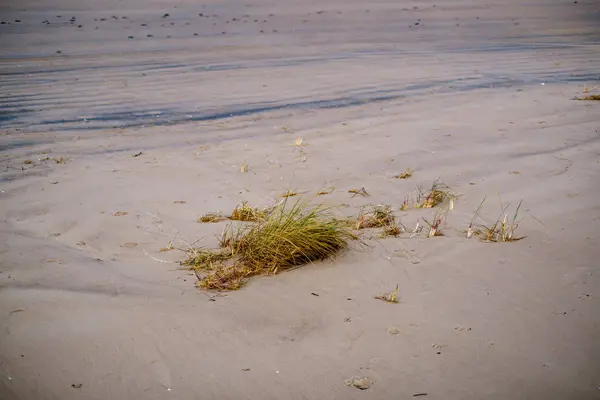 Strand Zand Textuur Met Water Abstract Patroon — Stockfoto