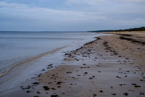 Spiaggia Mare Vuota Autunno Con Alcuni Cespugli Erba Secca Acqua — Foto Stock