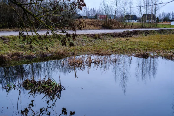 Herfst Rivier Met Overstroomde Oever Met Bomen Het Water — Stockfoto