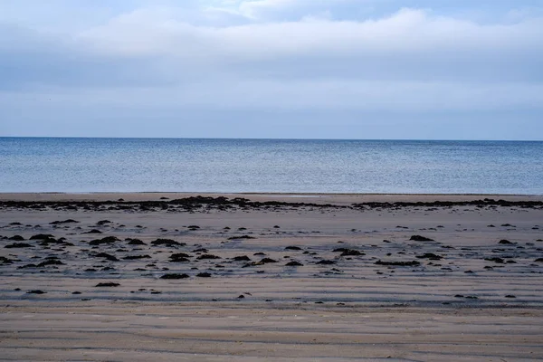 Lege Zee Strand Herfst Met Een Aantal Struiken Droog Gras — Stockfoto