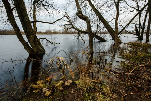 Río Otoño Con Orilla Inundada Con Árboles Agua —  Fotos de Stock