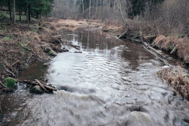 Sonbaharda ormandaki pitoresk nehir. Vahşi doğa, insan yok ve yaşlı kuru ağaç gövdeleri nehre düşmüş. Letonya 'da toplumdan izole edilmiş