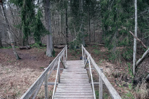 Oude Houten Brug Rivier Het Bos — Stockfoto