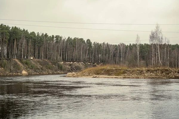 Malebná Řeka Lese Podzim Divočina Žádní Lidé Staré Suché Kmeny — Stock fotografie