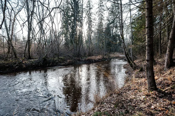 Γραφικό Ποτάμι Στο Δάσος Φθινόπωρο Ερημιά Δεν Έπεσαν Άνθρωποι Και — Φωτογραφία Αρχείου