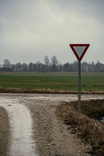 Puste Brudne Żwirowe Brud Droga Lesie Mokrą Powierzchnią Jesiennych Kolorach — Zdjęcie stockowe