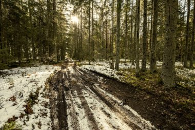 Kışın yol yüzeyinde su olan çamurlu bir yol. Karlı güneşli bir gün