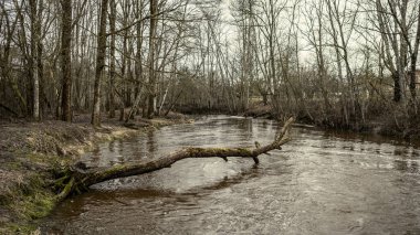 Letonya 'da Mergupe Nehri' nin kışın karsız manzarası. Yavaş deklanşör hızı