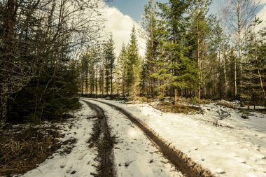 Kışın yol yüzeyinde su olan çamurlu bir yol. Karlı güneşli bir gün