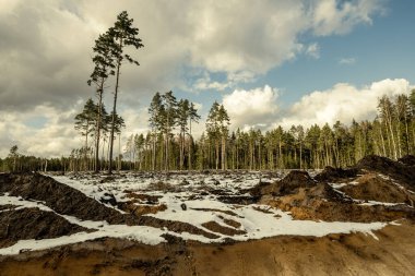 Kışın karlı ve çamurlu ormanda yeni bir yol inşaatı