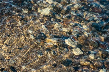 Kumsalda mavi su ve kumda büyük kayalar olan güneşli bir sahil. Letonya açık gökyüzü altında