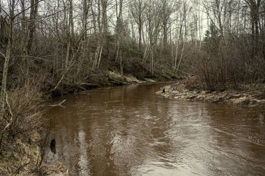 Letonya 'da Mergupe Nehri' nin kışın karsız manzarası. Yavaş deklanşör hızı