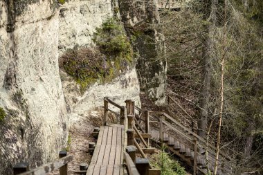Letonya 'da sonbaharın sonlarında bankları ve patikaları olan ormandaki dinlenme kampı.