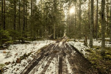 Kışın yol yüzeyinde su olan çamurlu bir yol. Karlı güneşli bir gün