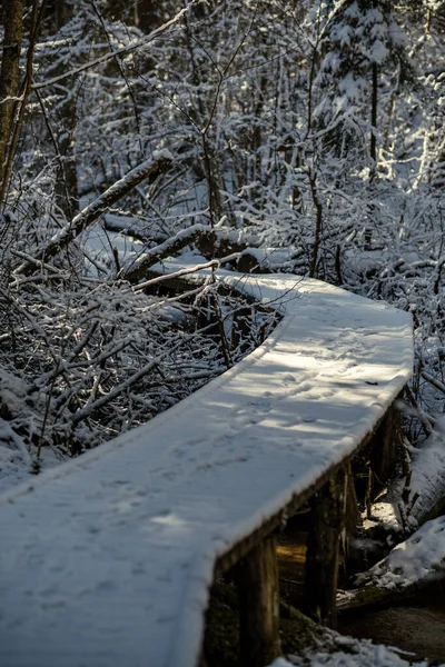 Snöig Gångväg För Skogspromenader Vintern Solig Dag Med Trappor Snö — Stockfoto