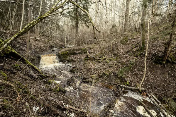 Schmutziger Wasserfall Auf Einem Kleinen Fluss Wald Schnelle Strömung Mit — Stockfoto