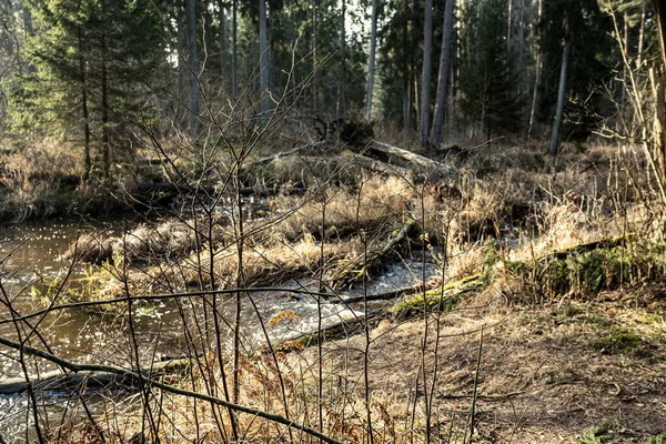 Vuile Waterval Een Riviertje Het Bos Snelle Stroming Met Stenen — Stockfoto