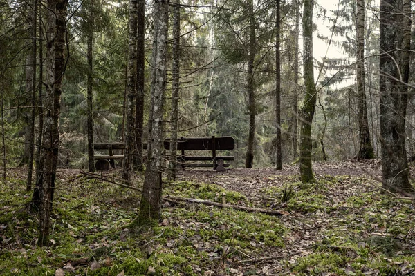 Rustplaats Het Bos Met Bankjes Wandelpad Het Najaar Letland — Stockfoto