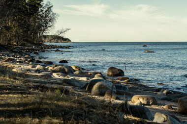 Kumsalda mavi su ve kumda büyük kayalar olan güneşli bir sahil. Letonya açık gökyüzü altında