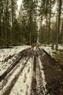 Kışın yol yüzeyinde su olan çamurlu bir yol. Karlı güneşli bir gün