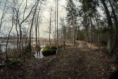 Sonbaharda gün batımında ağaçlar ve tozla dolu kirli göl.