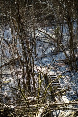 Kar, ağaç gövdeleri ve bitki örtüsü kışın soyut gür dokularla kaplanır.