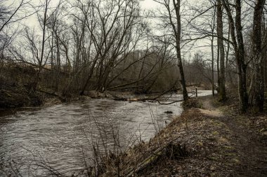 Letonya 'da Mergupe Nehri' nin kışın karsız manzarası. Yavaş deklanşör hızı