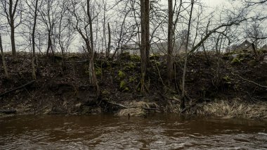 Letonya 'da Mergupe Nehri' nin kışın karsız manzarası. Yavaş deklanşör hızı