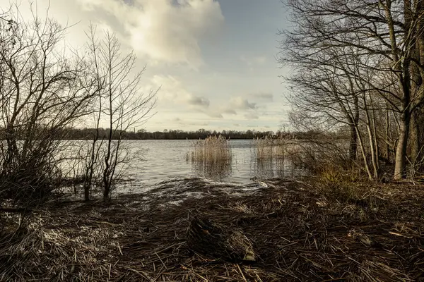 Vuil Meer Met Bomen Stof Het Water Bij Zonsondergang Herfst — Stockfoto