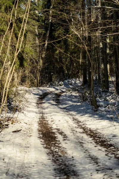 Snöig Gångväg För Skogspromenader Vintern Solig Dag Med Trappor Snö — Stockfoto