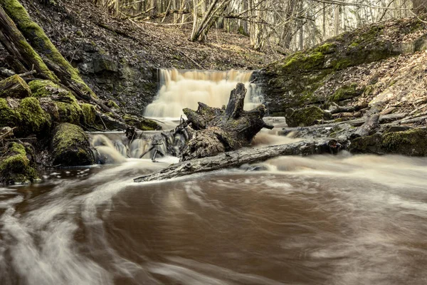 Brudny Wodospad Małej Rzece Lesie Szybki Prąd Kamieniami Drzewami Jesienią — Zdjęcie stockowe