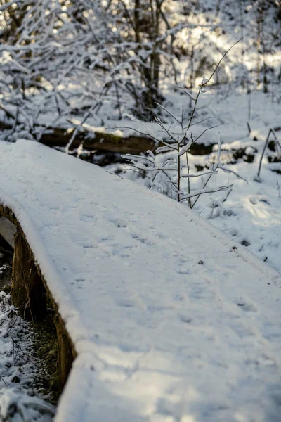Снежная Тропа Прогулок Лесу Зимой Солнечный День Лестницами Снегом — стоковое фото