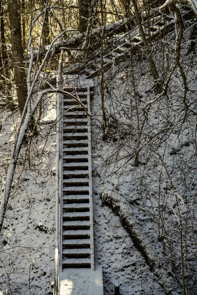 Verschneiter Waldweg Winter Sonniger Tag Mit Treppen Unter Schnee — Stockfoto