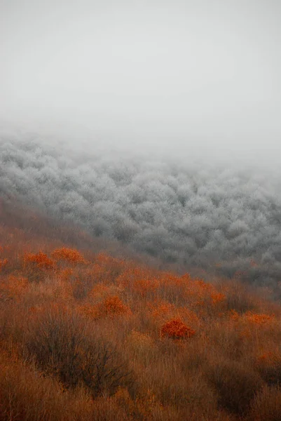 Zwei Jahreszeiten Übergang Vom Herbst Zum Winter — Stockfoto