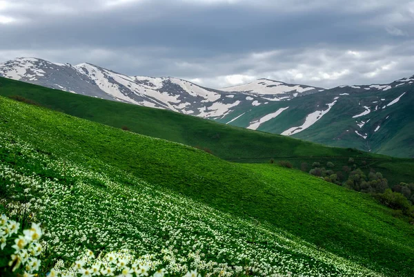Spring Mountains Armenia — Stock Photo, Image