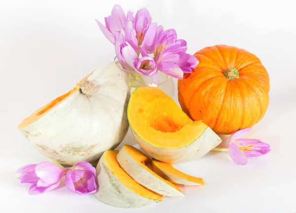 Серые спелые тыквы с апельсиновой мякотью и фиолетовыми цветами — стоковое фото