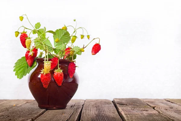 Ramas de fresa silvestres en una olla de cerámica sobre una mesa de madera — Foto de Stock