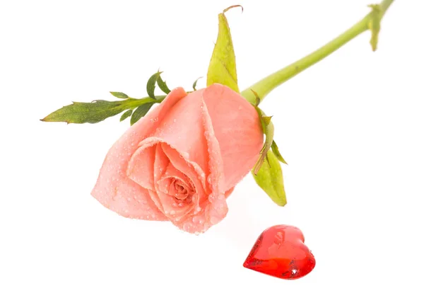 Rose mit Wassertropfen und Herz in der Nähe — Stockfoto