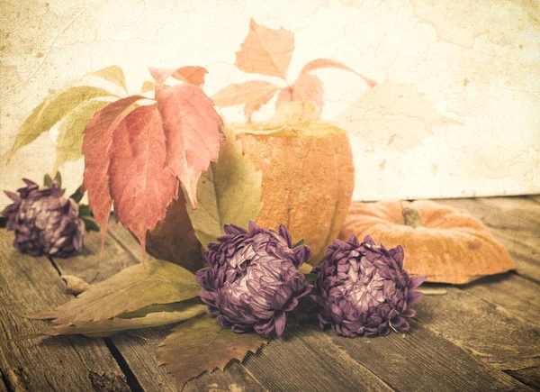 En estilo retro: calabaza, hojas de otoño y flores — Foto de Stock