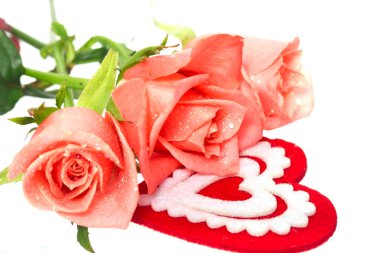 pink roses and heart on white clipart