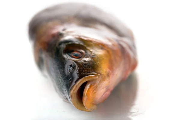 Um peixe cru fresco sobre um fundo branco — Fotografia de Stock
