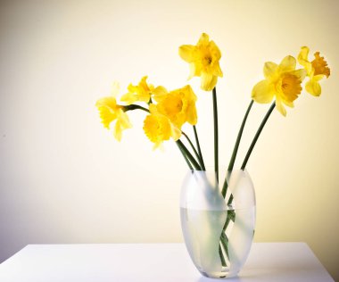 Cam Vazoda beyaz bir tablo narcissuses.